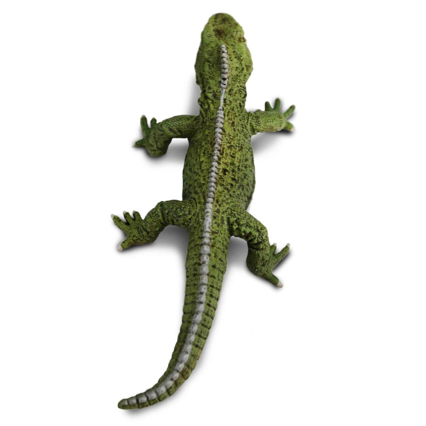 Tuatara Toy Figure | Incredible Creatures | Safari Ltd®