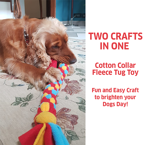 Chalk & Chuckles Pawfect Gifts Craft Kit