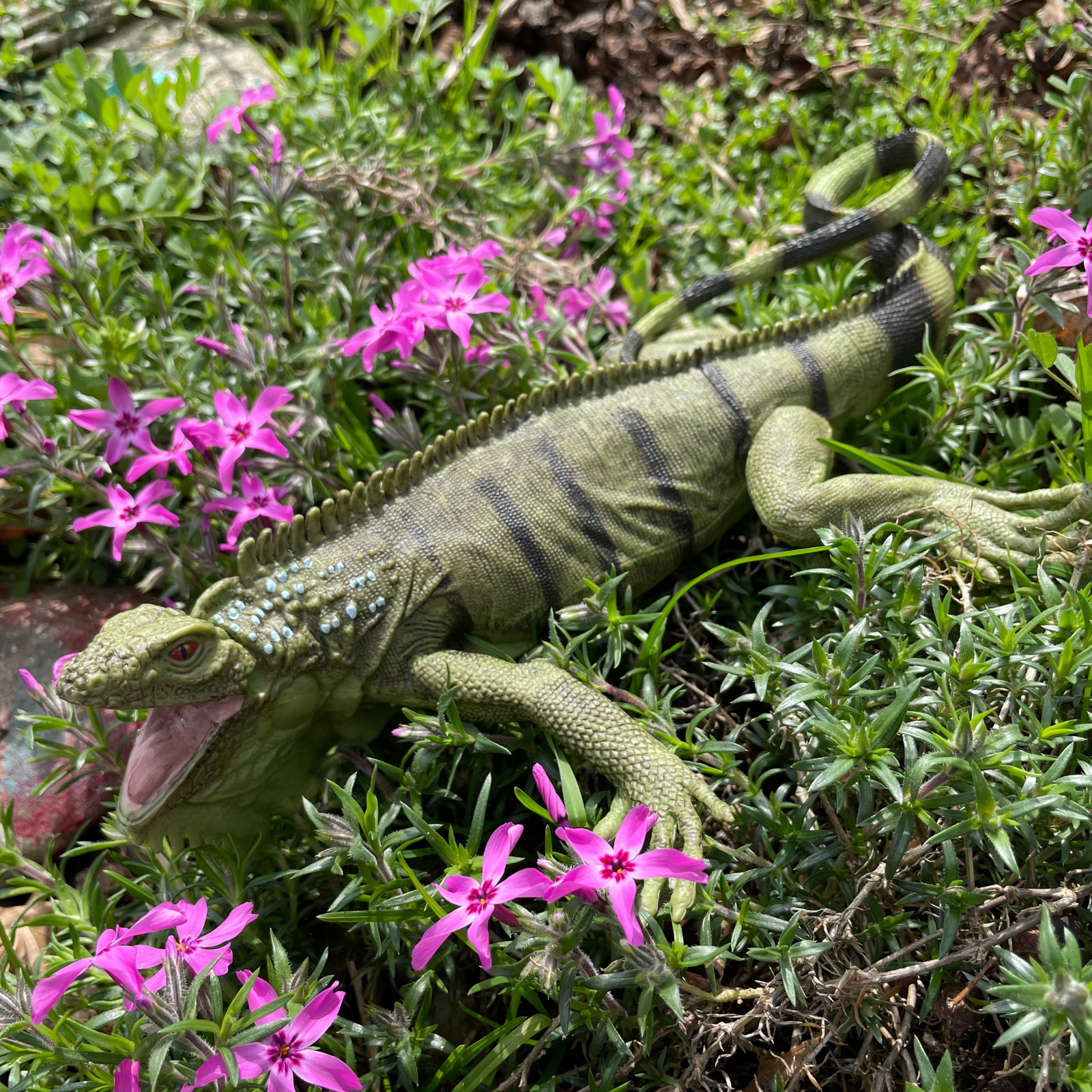 Iguana Toy | Incredible Creatures | Safari Ltd®