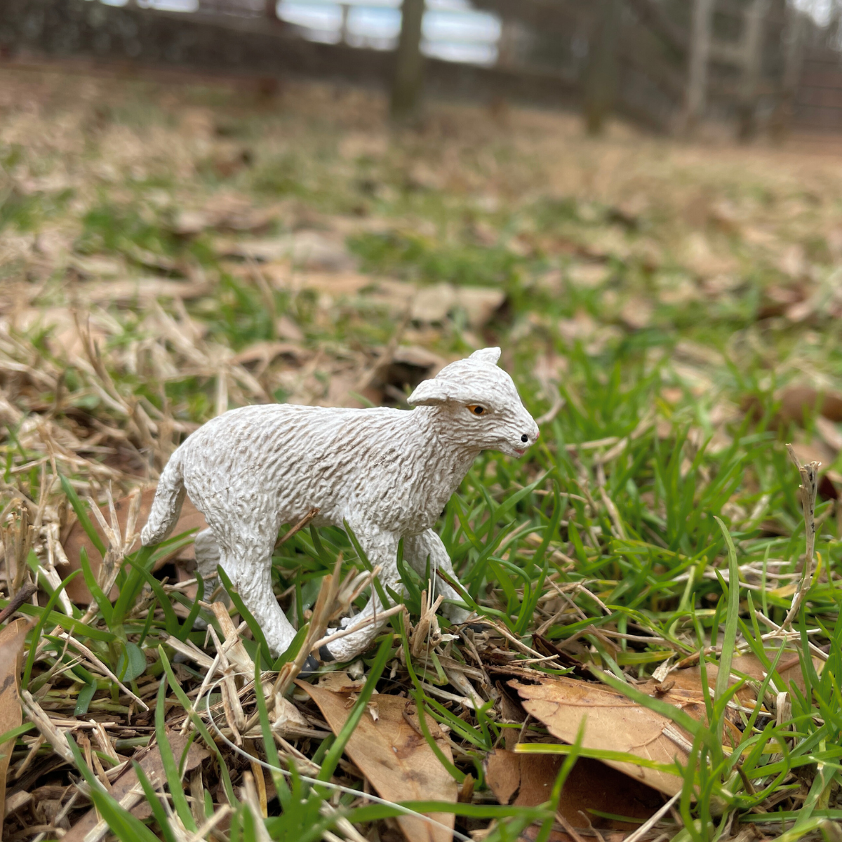 Lamb Toy