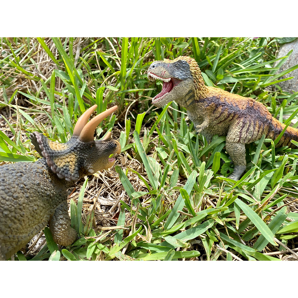 Dino Dana Feathered T-Rex | Dinosaur Toys | Safari Ltd®