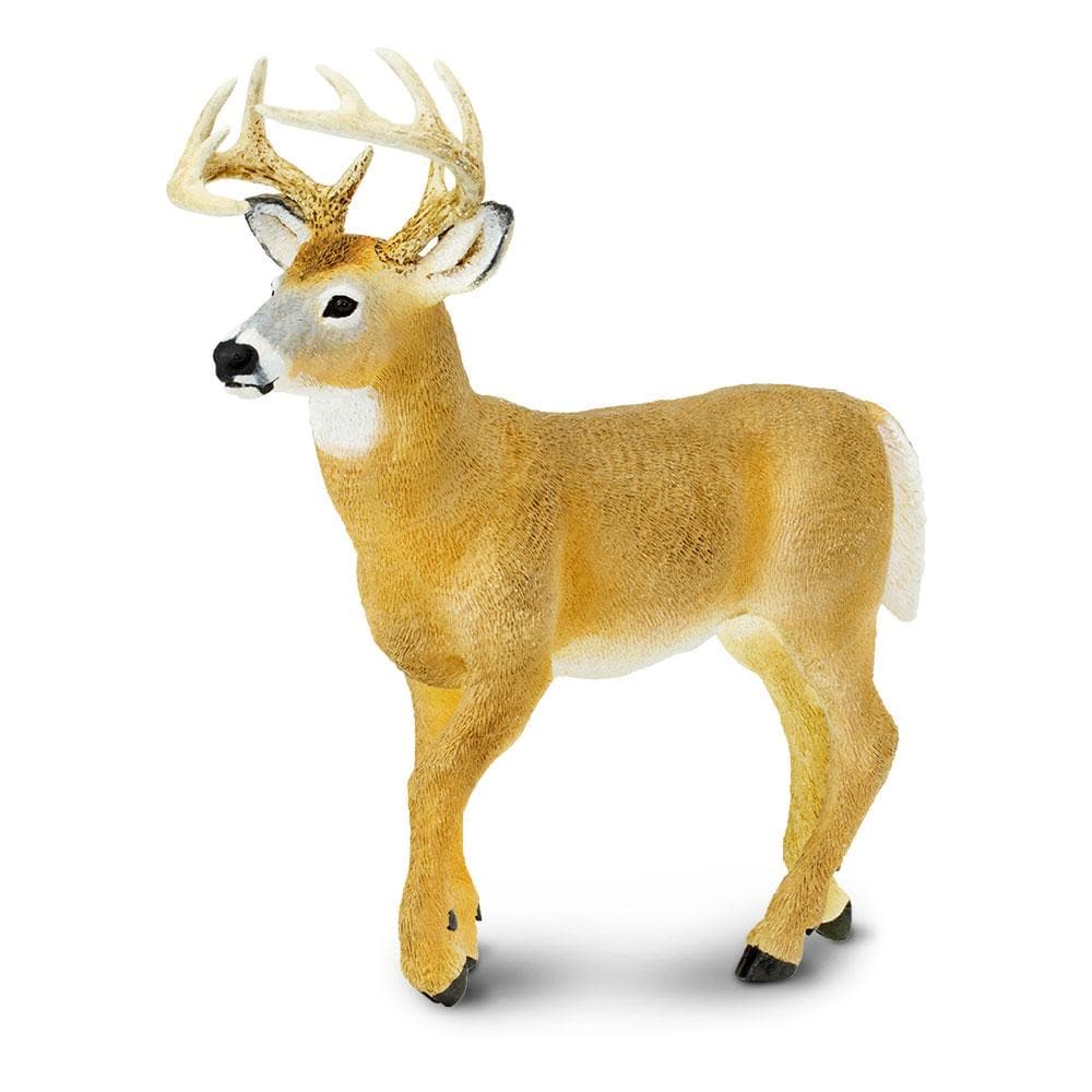 Whitetail Buck Toy | Wildlife Animal Toys | Safari Ltd.