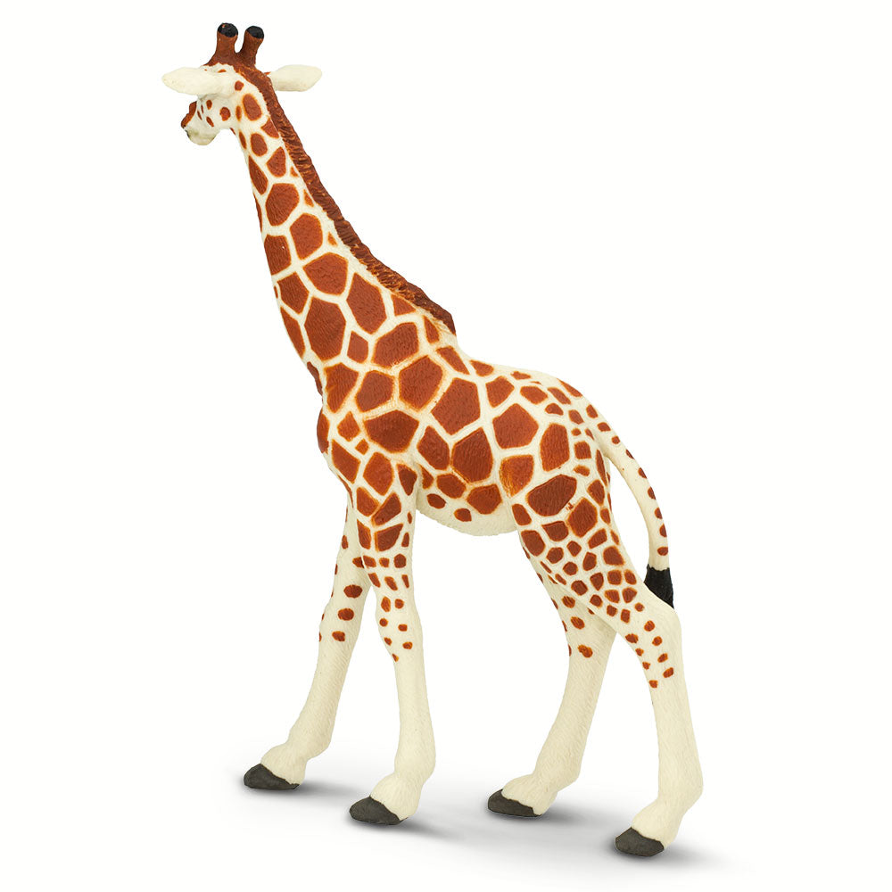 Reticulated Giraffe Toy | Wildlife Animal Toys | Safari Ltd®