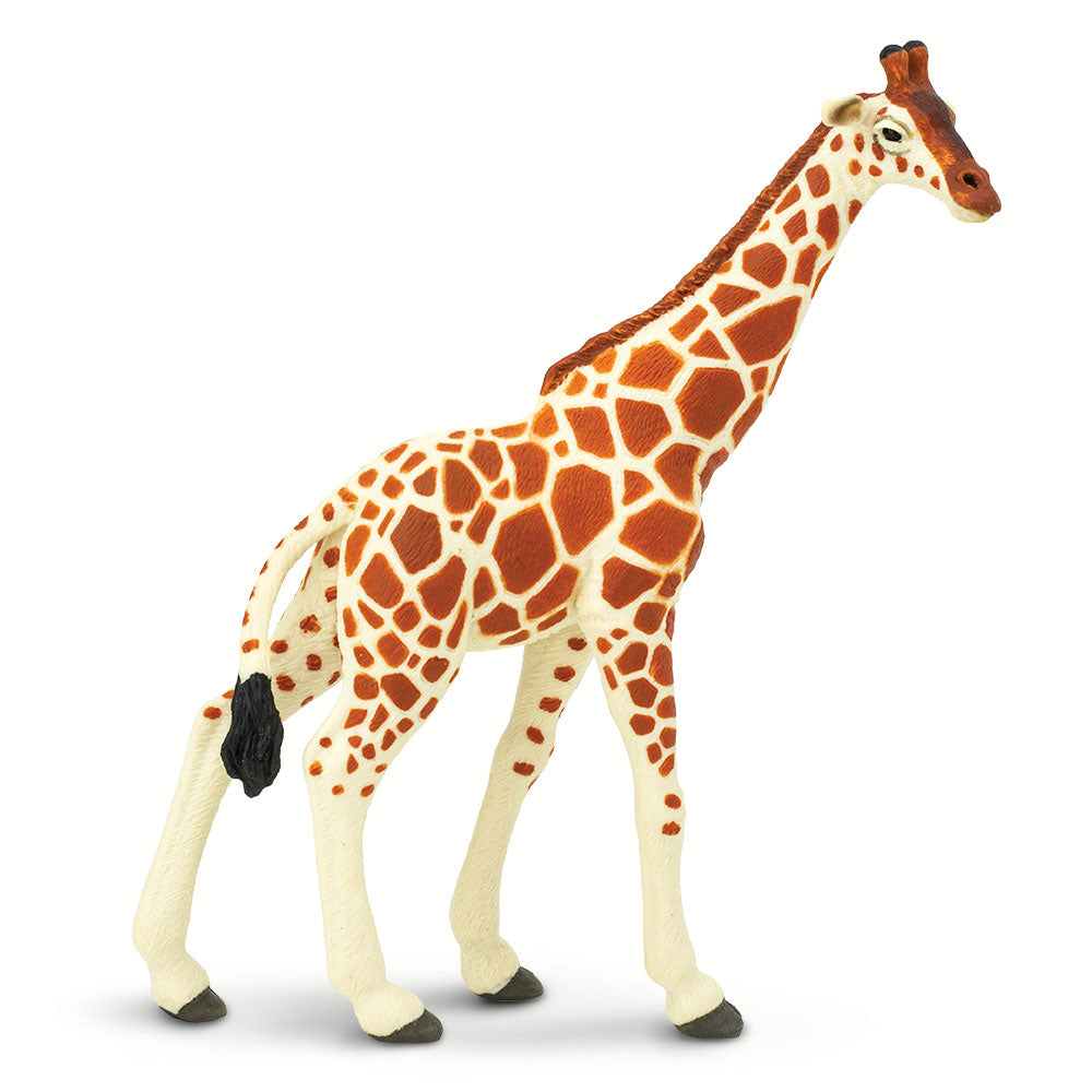 Reticulated Giraffe Toy | Wildlife Animal Toys | Safari Ltd®