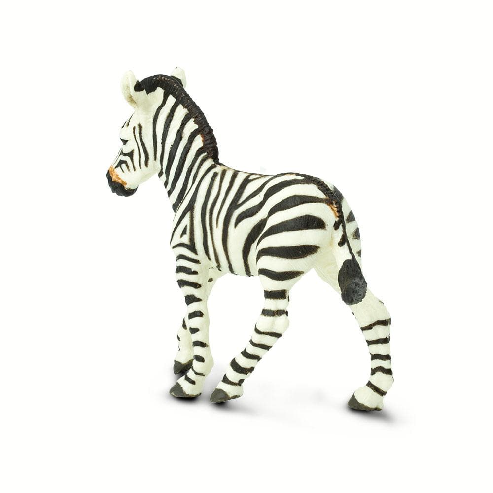 Zebra Foal Toy | Wildlife Animal Toys | Safari Ltd.