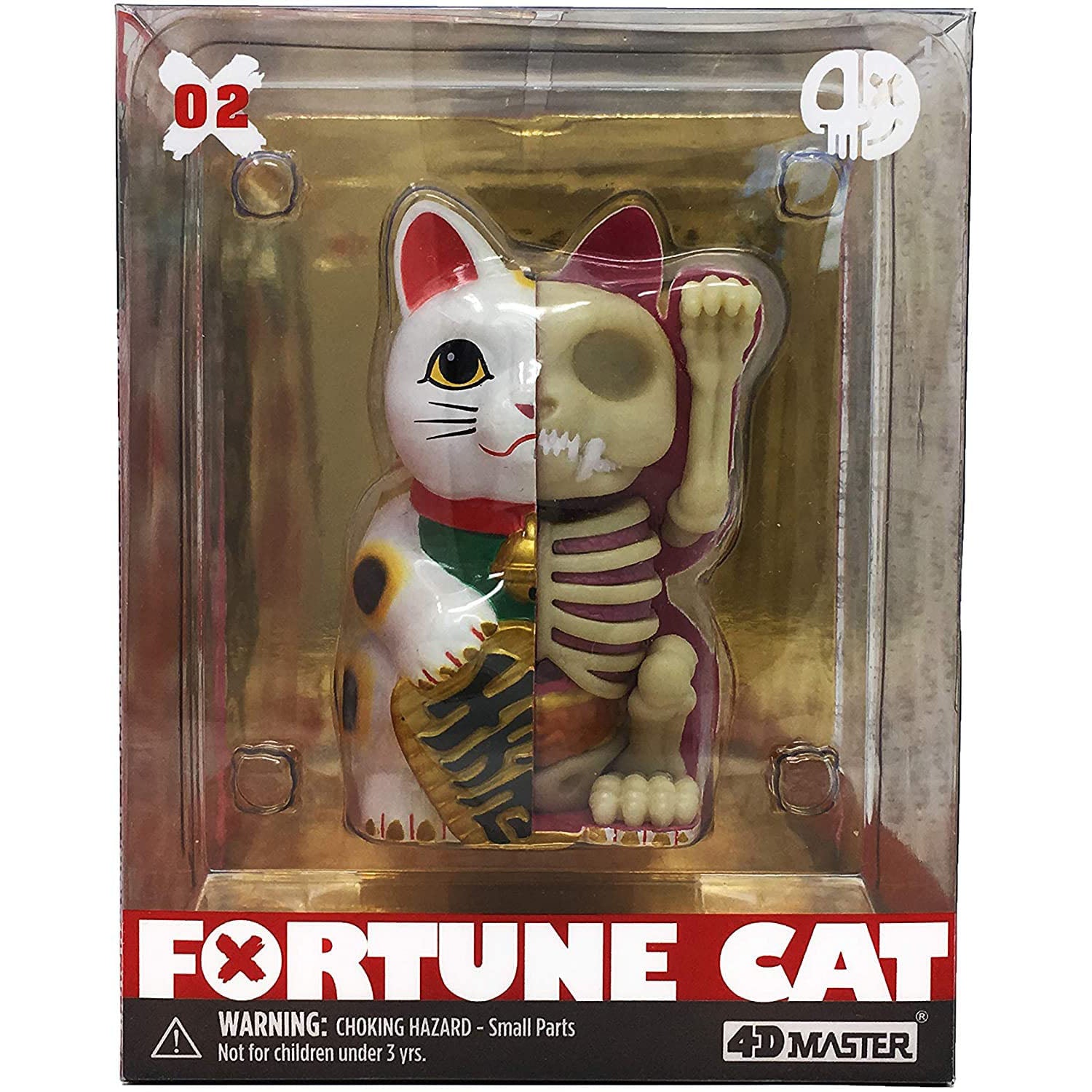 4D Fortune Cat Anatomy Model - Safari Ltd®