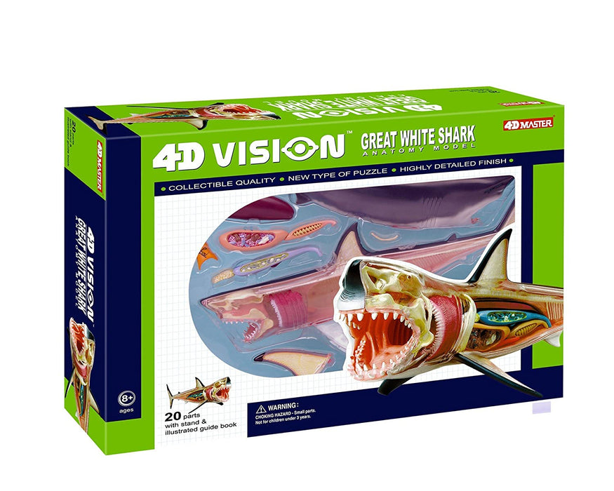 4d Vision Great White Anatomy Model 