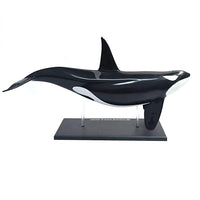 4D Vision Orca Anatomy Model - Safari Ltd®