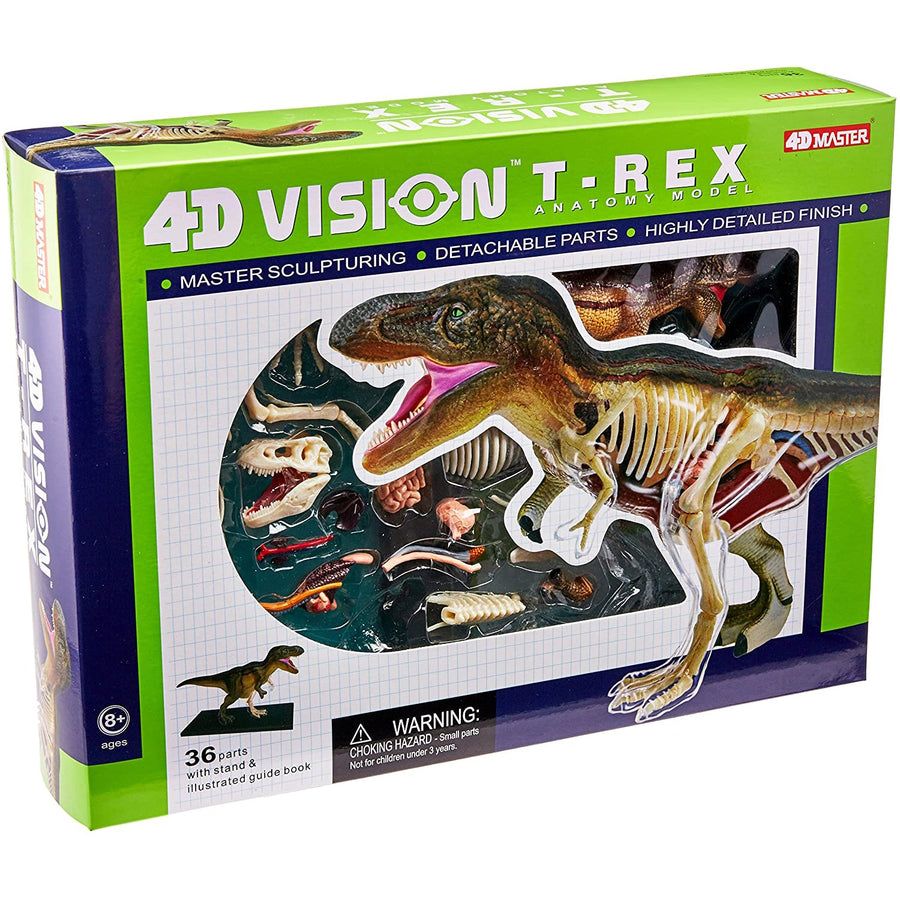 4D Vision T-Rex Anatomy Model - Safari Ltd®