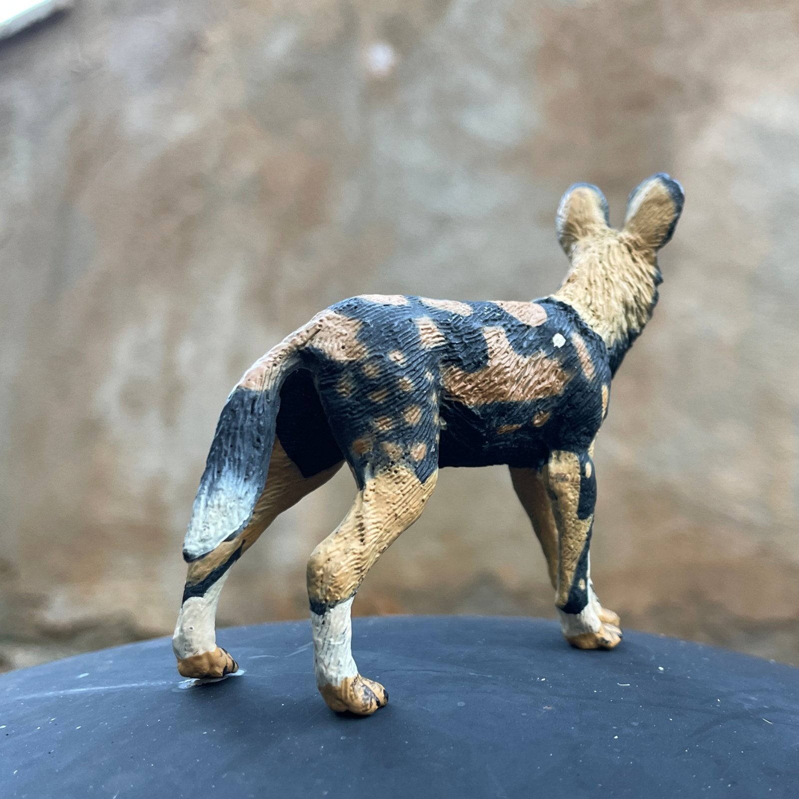 African Wild Dog Toy - Safari Ltd®