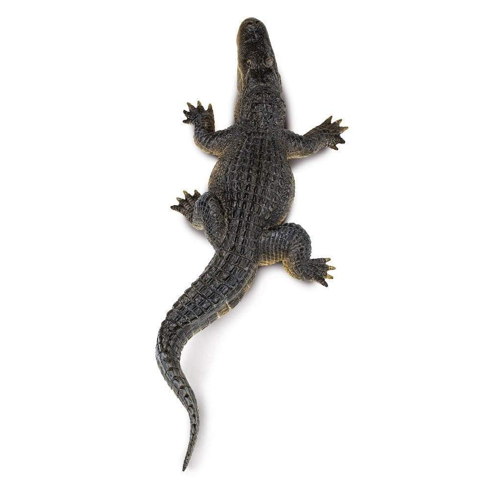 Alligator Toy | Wildlife Animal Toys | Safari Ltd.