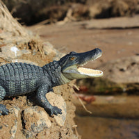 Alligator Toy - Safari Ltd®