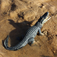 Alligator Toy - Safari Ltd®