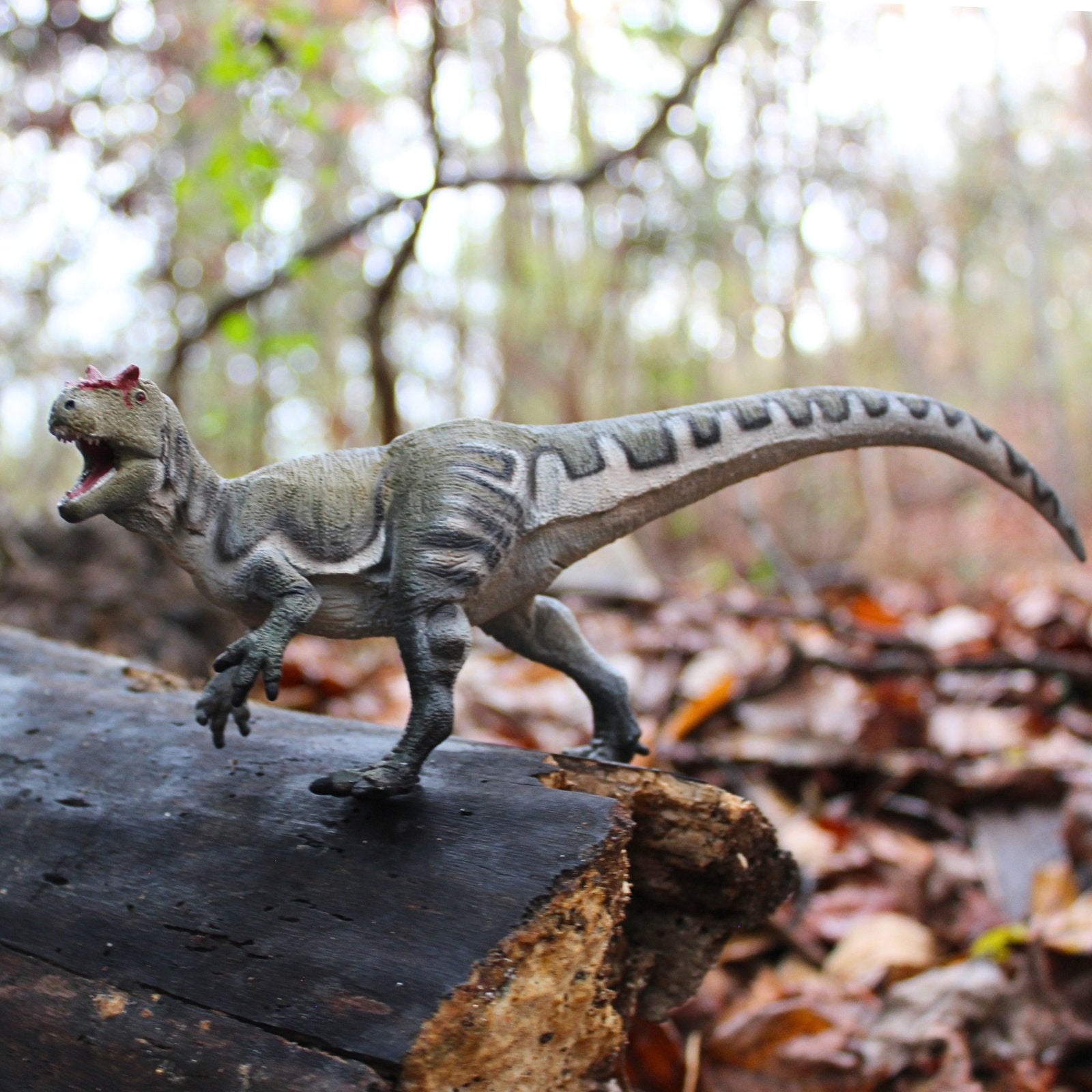 Allosaurus Toy - Safari Ltd®