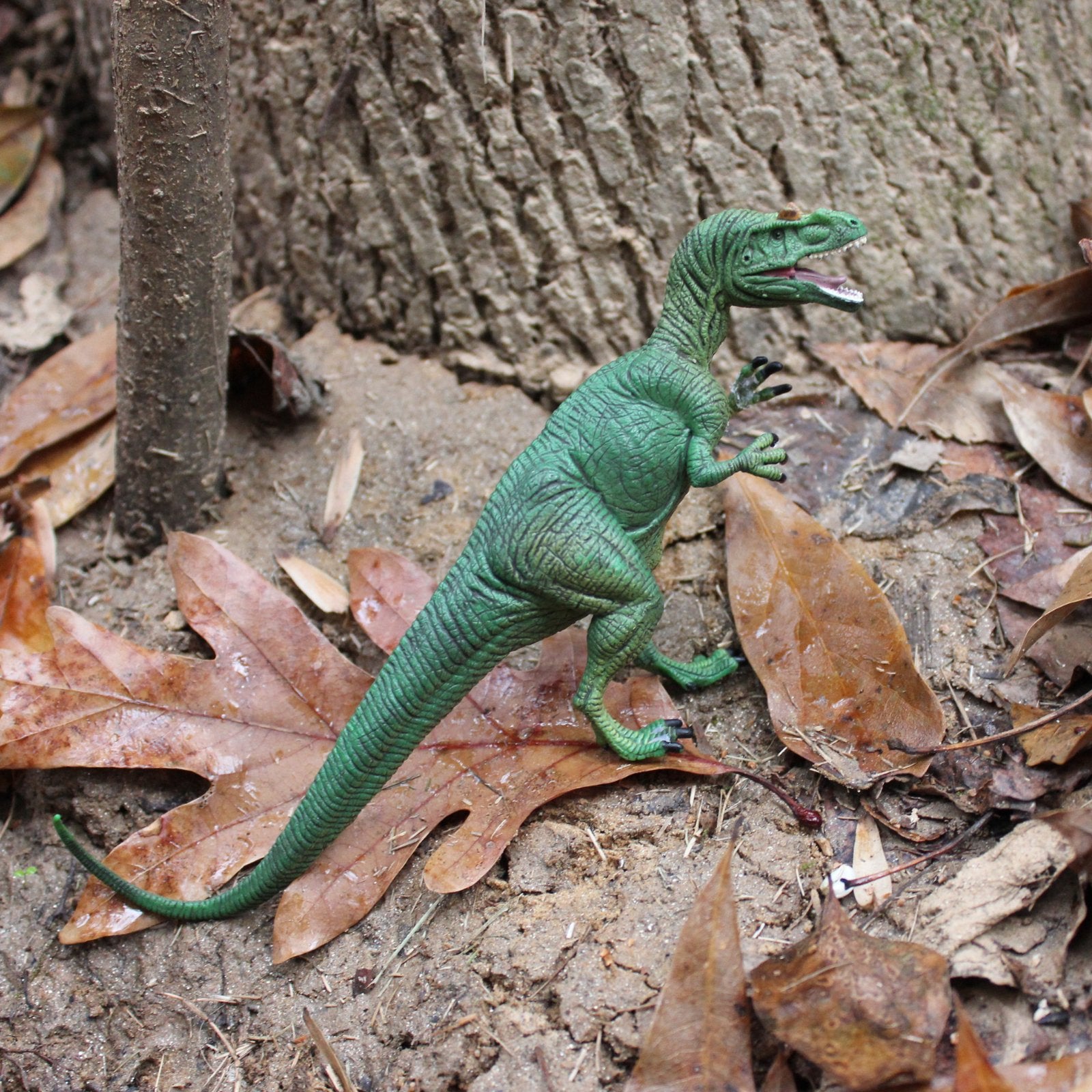 Allosaurus Toy - Safari Ltd®