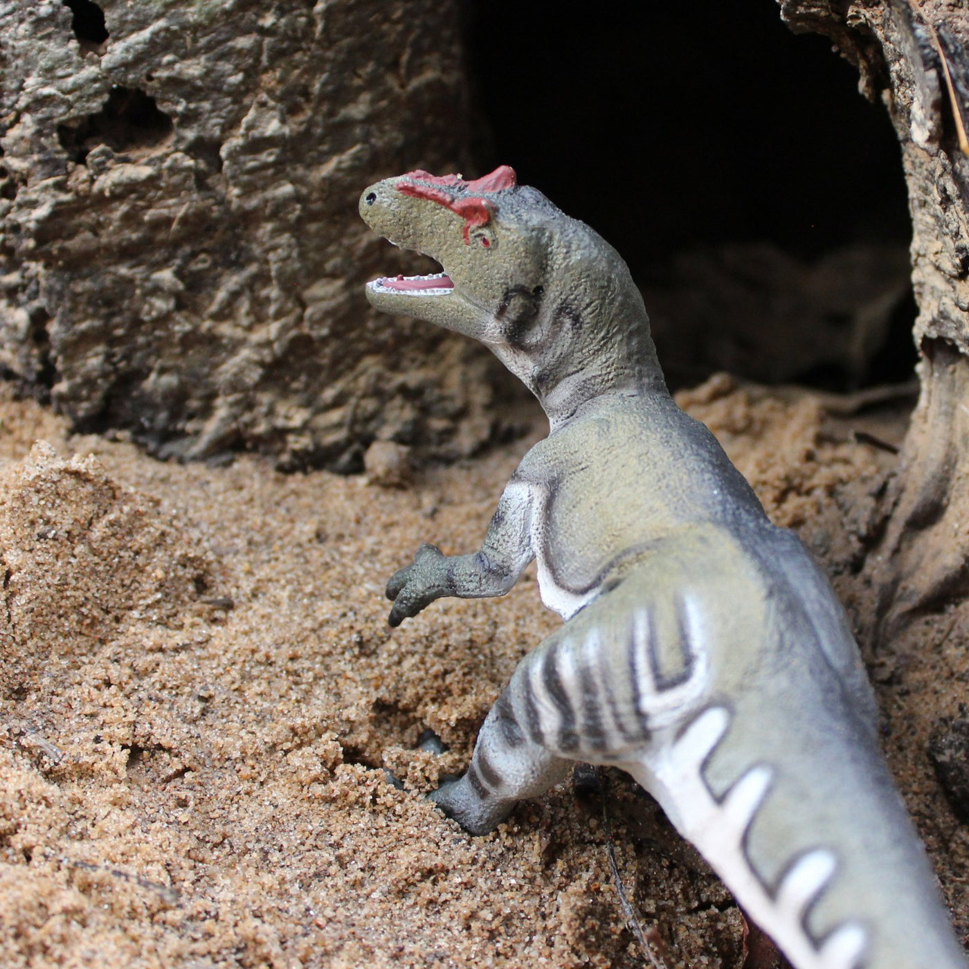 Allosaurus Toy - Safari Ltd®