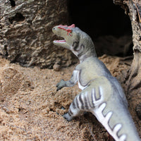 Allosaurus Toy - Safari Ltd®