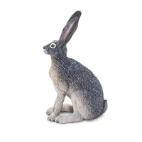 American Desert Hare Toy | Wildlife Animal Toys | Safari Ltd.