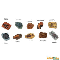 Ancient Fossils TOOB® - Safari Ltd®