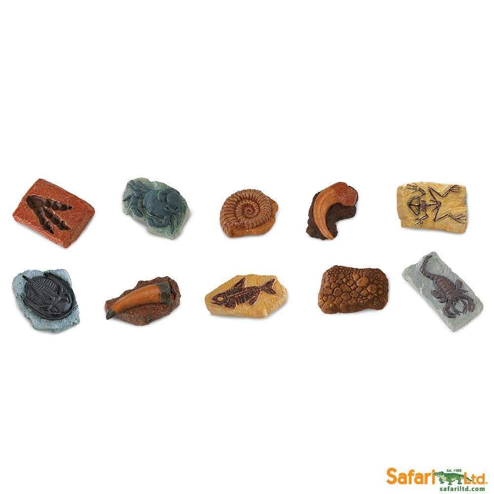 Ancient Fossils TOOB® - Safari Ltd®