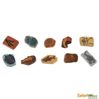 Ancient Fossils TOOB® - Safari Ltd®