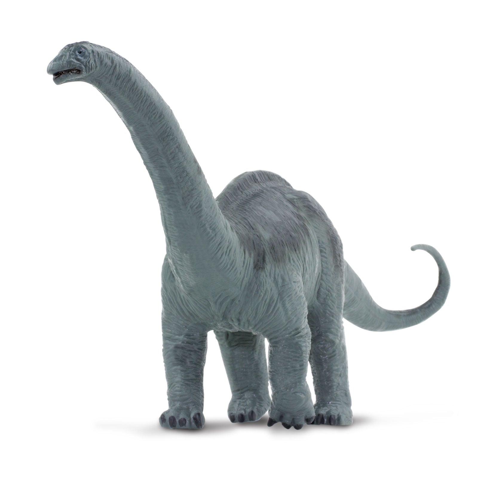 Apatosaurus Toy - Safari Ltd®