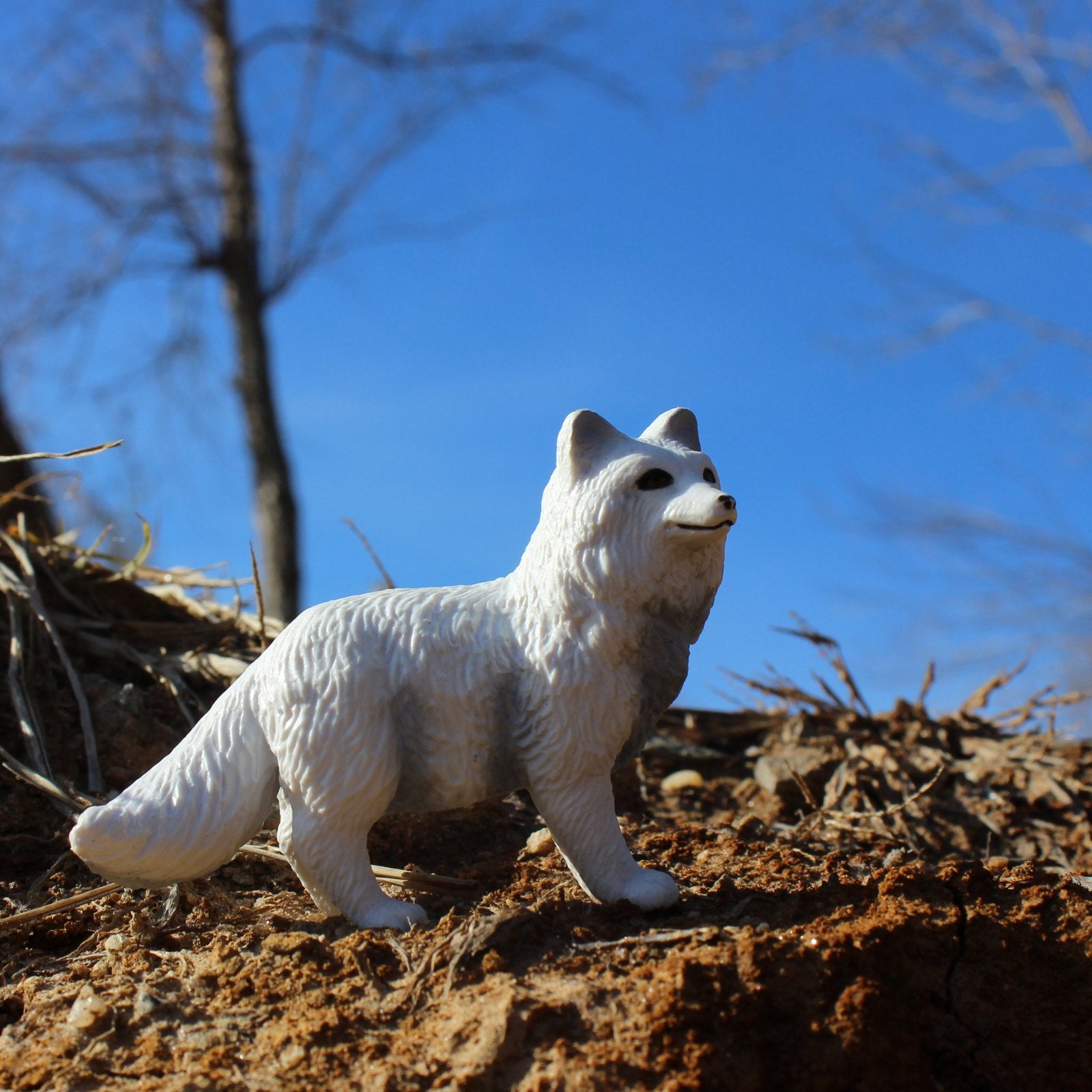 Arctic Fox Toy - Safari Ltd®