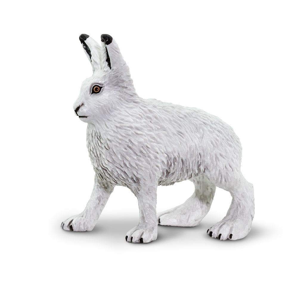 Arctic Hare Toy | Wildlife Animal Toys | Safari Ltd.