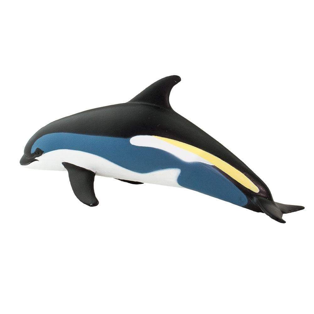 Atlantic White-Sided Dolphin Toy | Sea Life Toys | Safari Ltd.