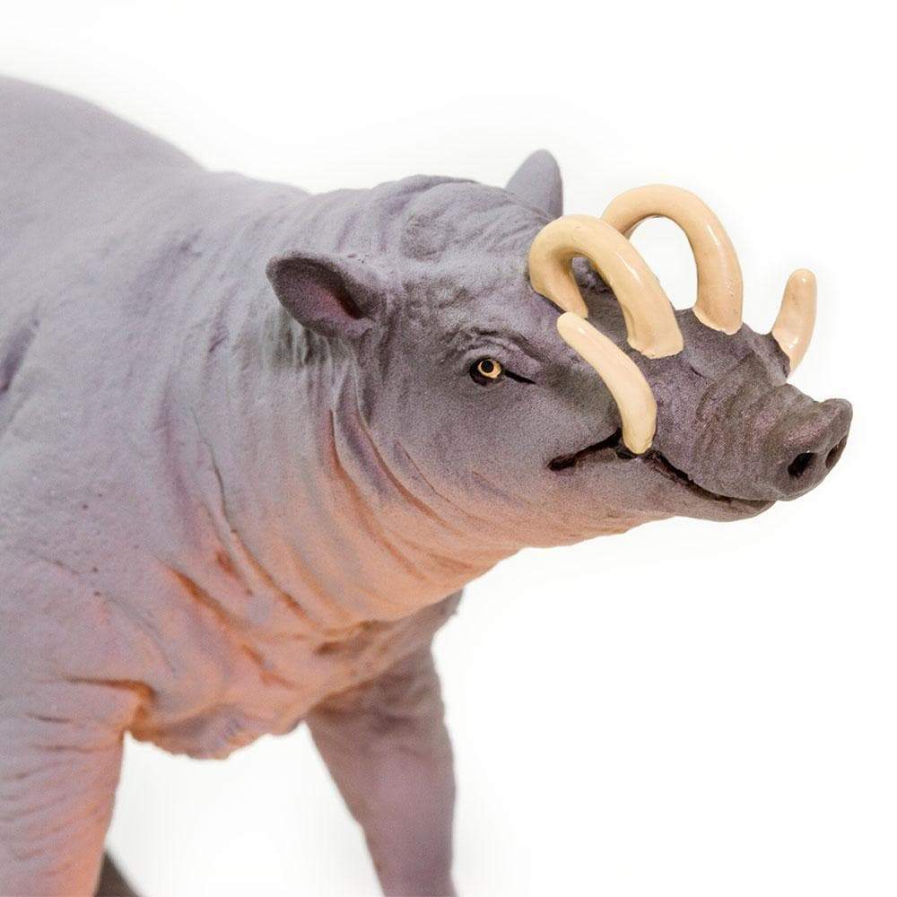 Babirusa Toy - Safari Ltd®