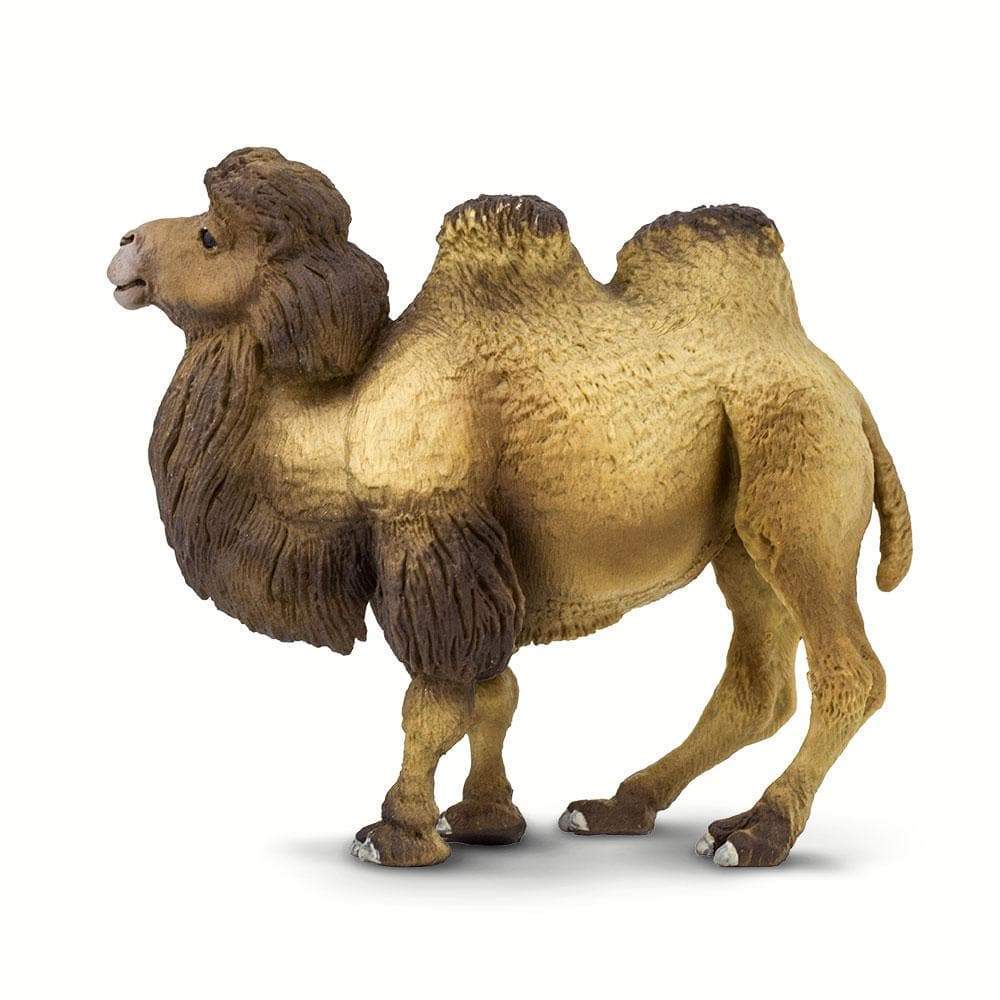 Bactrian Camel Toy | Wildlife Animal Toys | Safari Ltd.