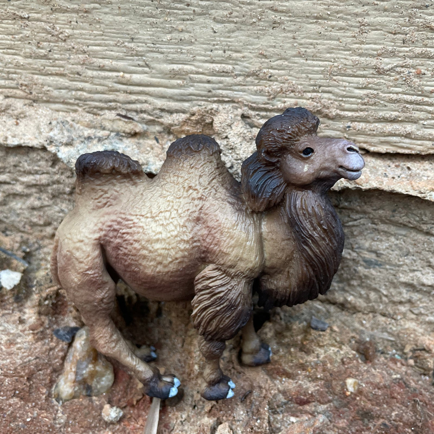 Bactrian Camel Toy - Safari Ltd®