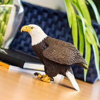 Bald Eagle - Safari Ltd®