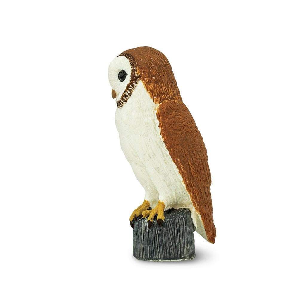 Barn Owl Toy | Wildlife Animal Toys | Safari Ltd.