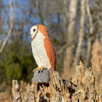 Barn Owl - Safari Ltd®