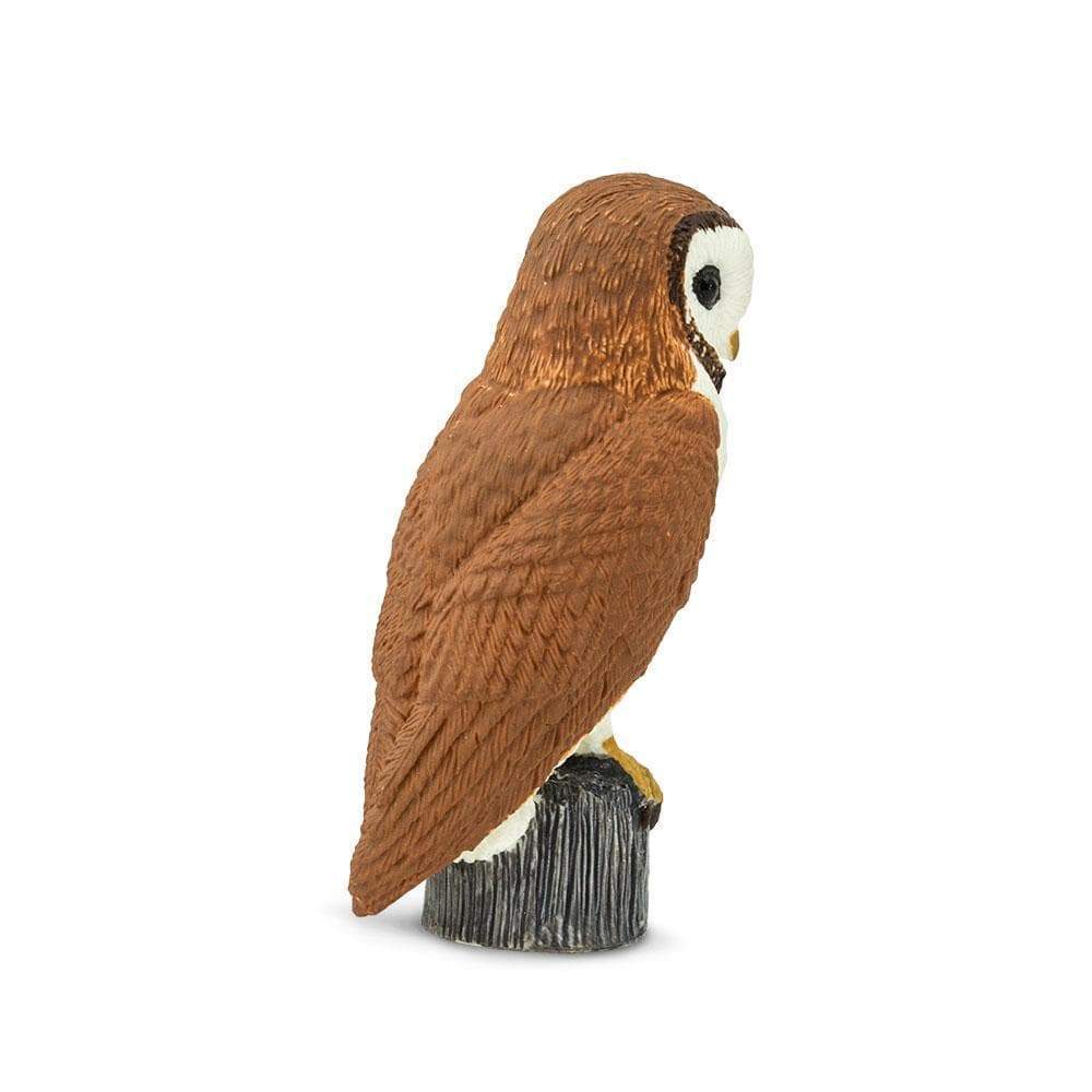 Barn Owl Toy | Wildlife Animal Toys | Safari Ltd.