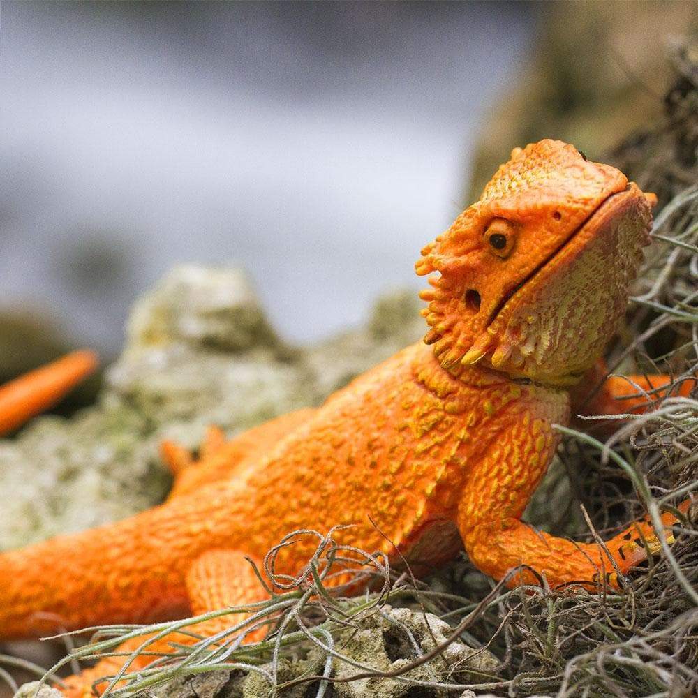 Bearded Dragon - Safari Ltd®