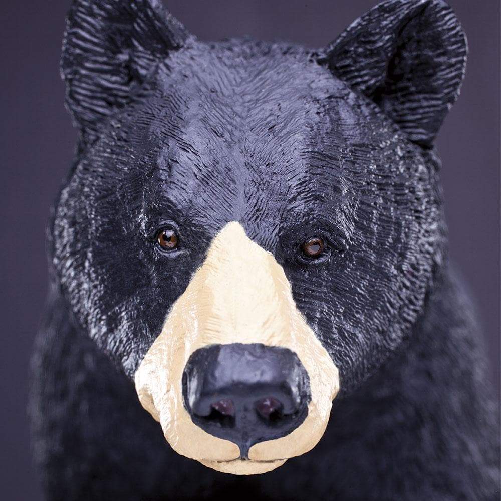 Black Bear Toy | Wildlife Animal Toys | Safari Ltd.