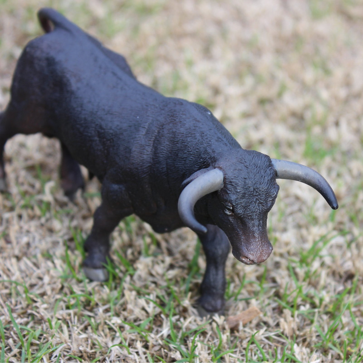 Black Bull Toy - Safari Ltd®