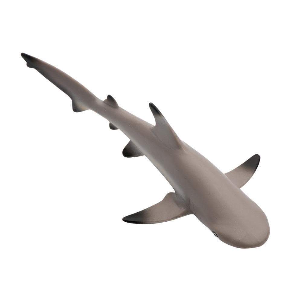 Blacktip Reef Shark Toy - Sea Life Toys by Safari Ltd.