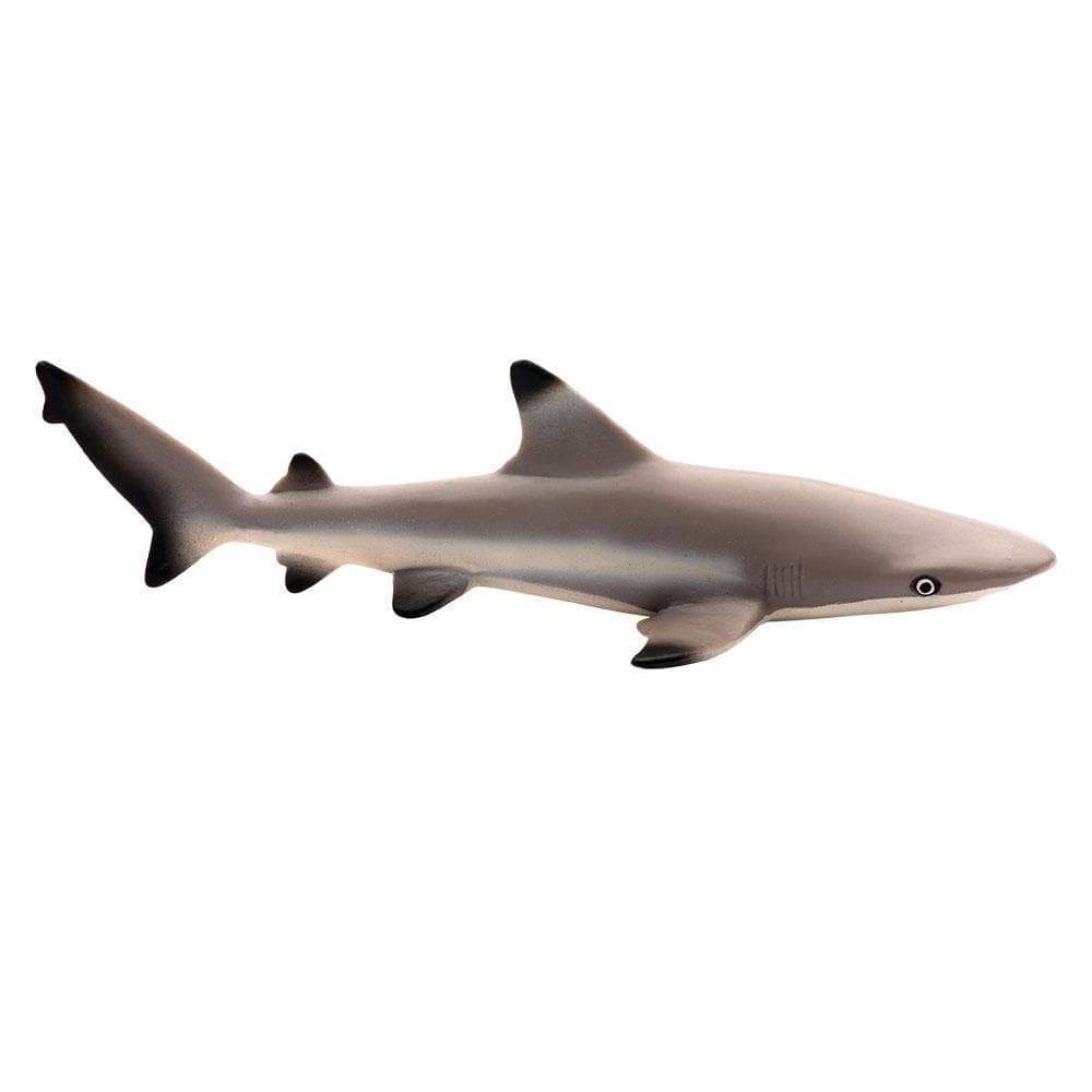 Blacktip Reef Shark Toy - Sea Life Toys by Safari Ltd.