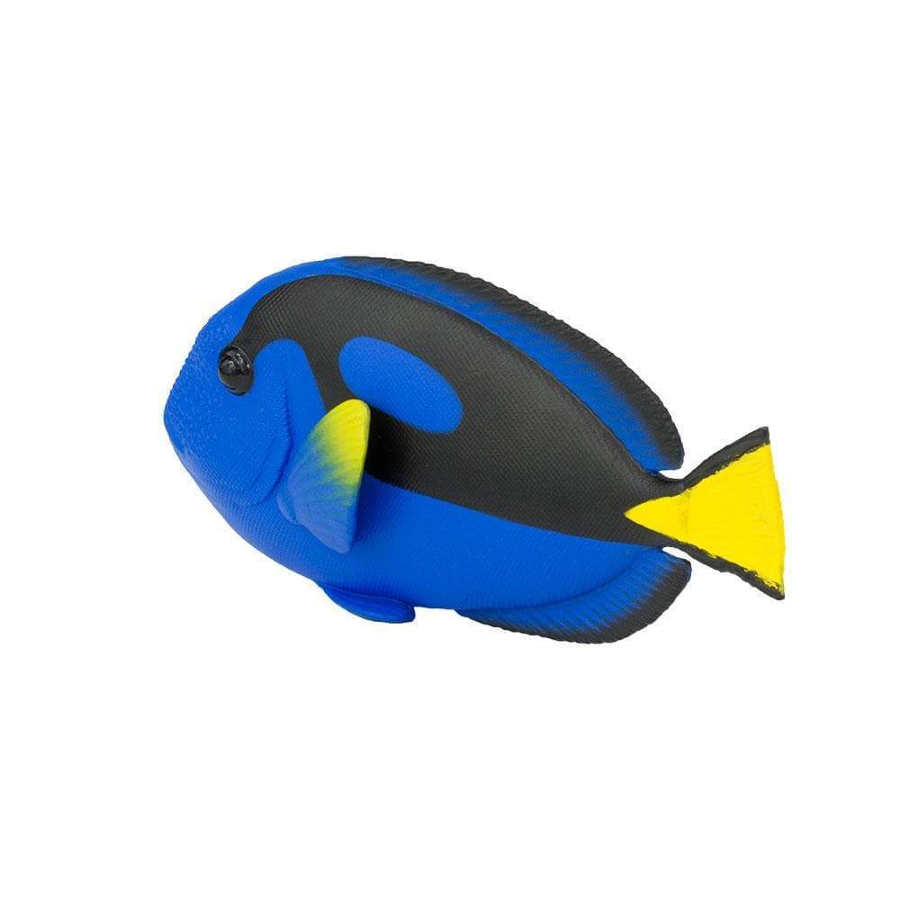 Blue Tang - Safari Ltd®