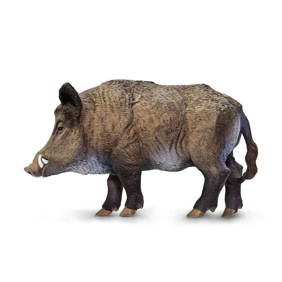 Boar Toy | Wildlife Animal Toys | Safari Ltd.