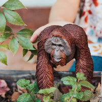 Bornean Orangutan Toy - Safari Ltd®