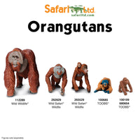 Bornean Orangutan Toy - Safari Ltd®