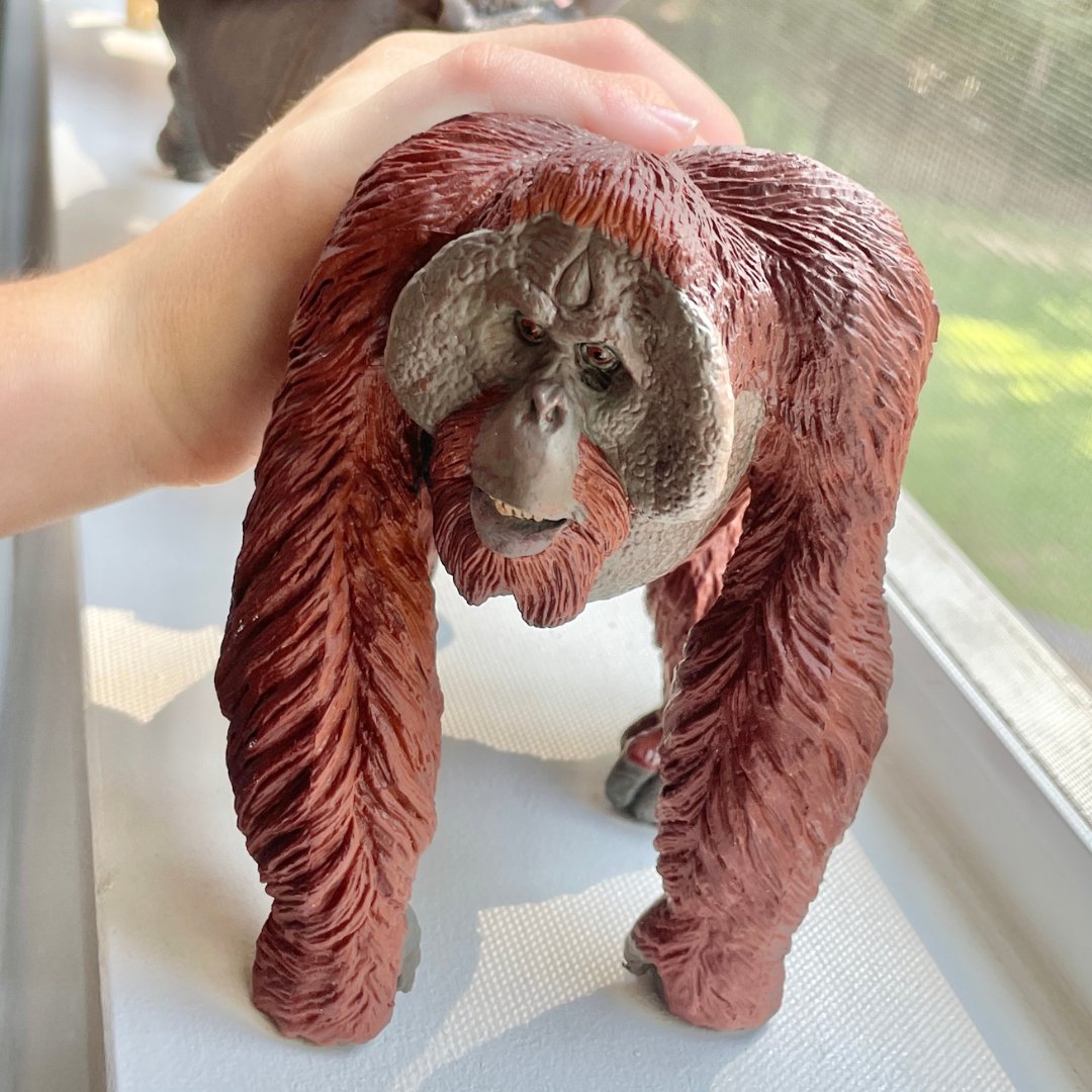 Bornean Orangutan Toy - Safari Ltd®