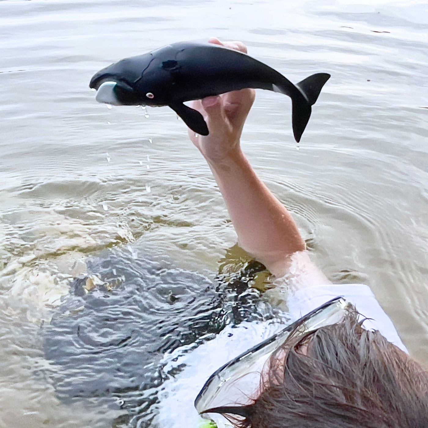 Bowhead Whale Toy - Safari Ltd®