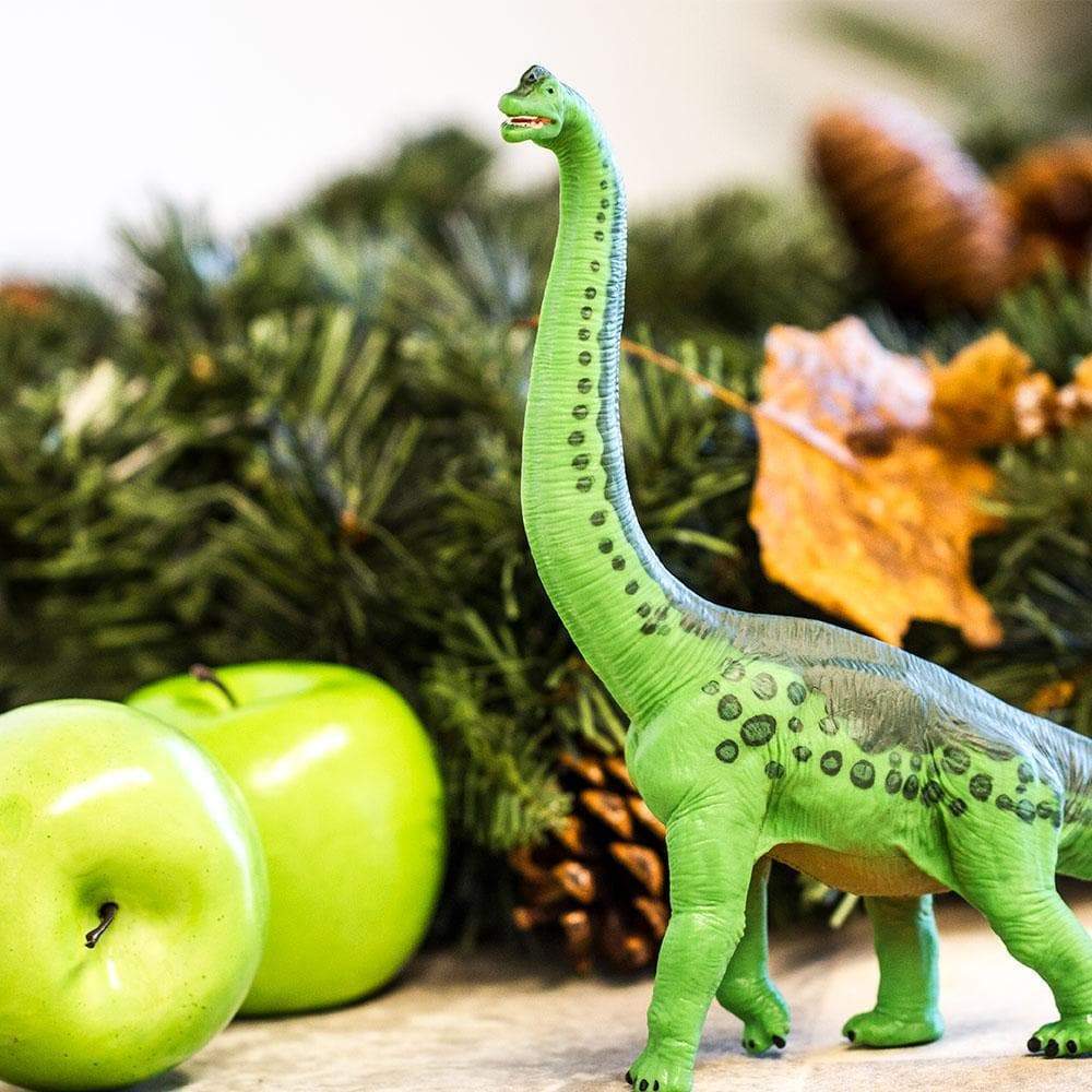 Brachiosaurus Toy | Dinosaur Toys | Safari Ltd.