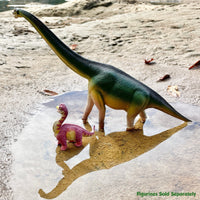 Brachiosaurus Toy - Safari Ltd®