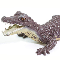 Caiman - Safari Ltd®